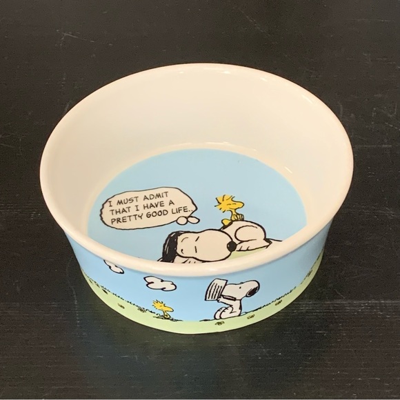 Peanuts Dog Pretty Good Life Peanuts Snoopy Woodstock 5 Ceramic Pet